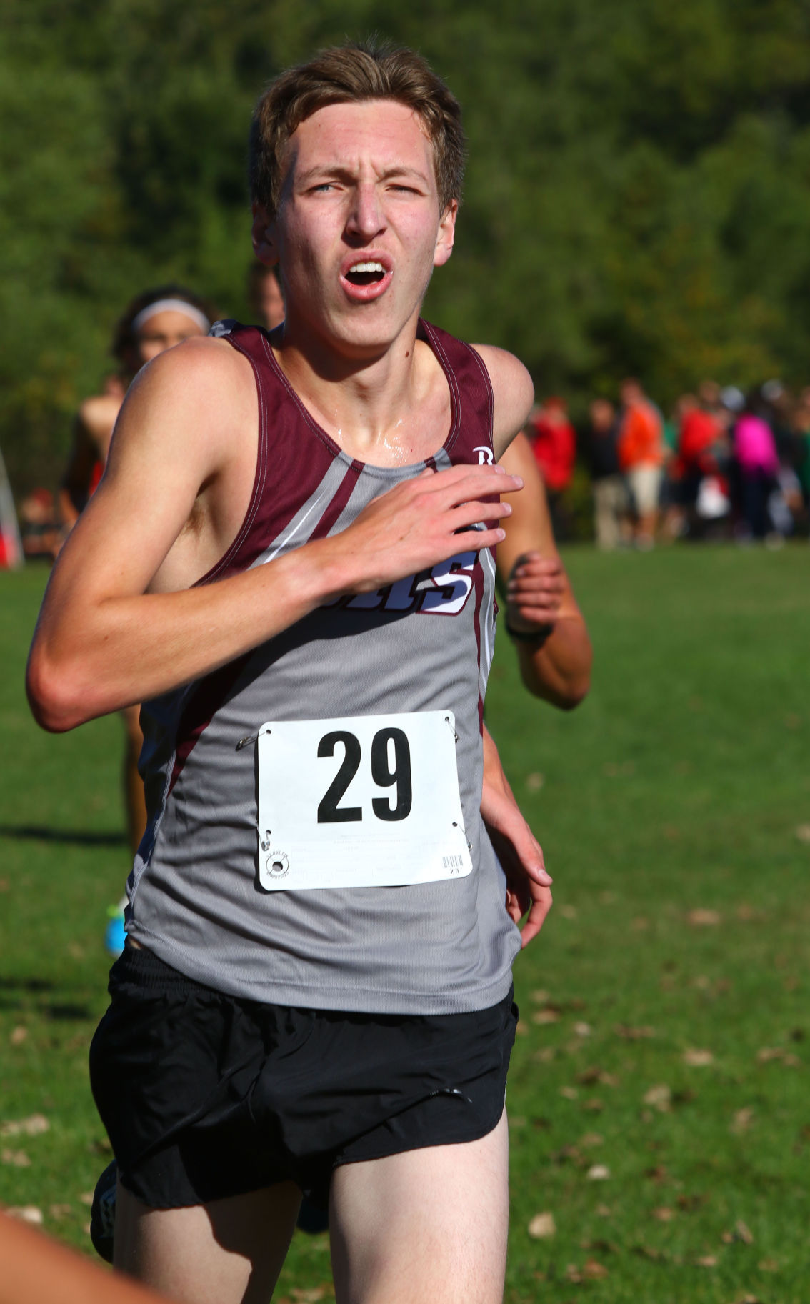 Gallery: Duneland Athletic Conference cross country meet